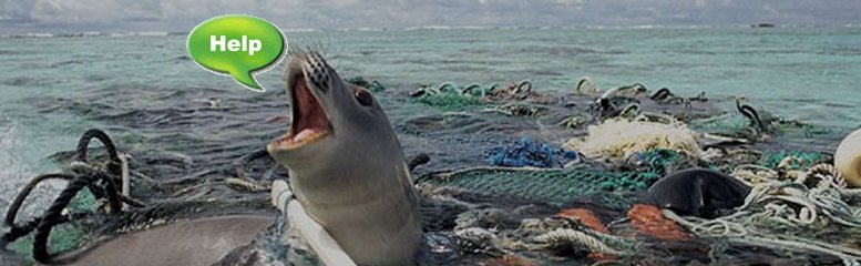 HELP - Seal trapped in Plastic Trash, Fish and Birds eating plastic.